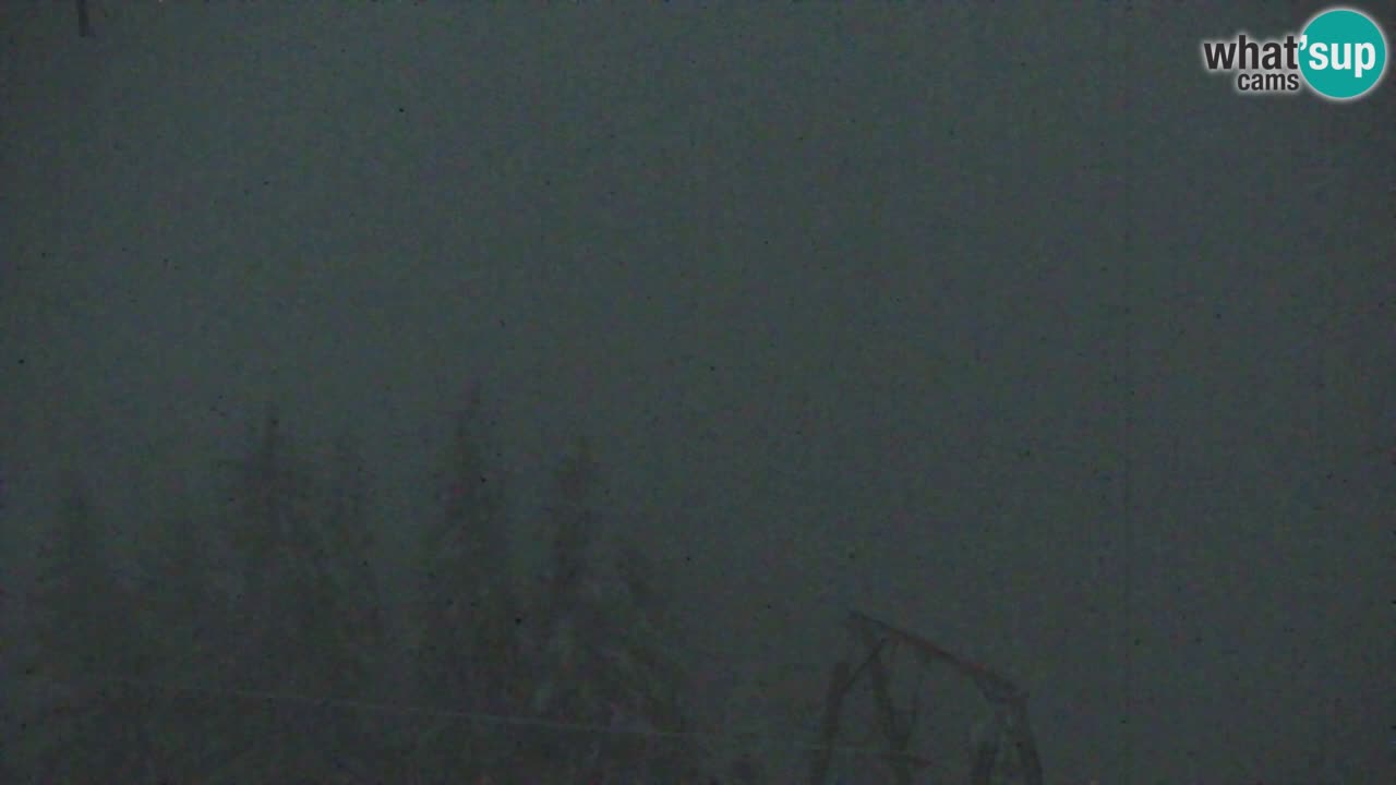 Koča na Golici Webcam (1582 m) – Slowenien