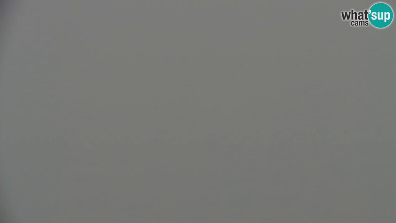 Webcam Koča na Golici (1582 m) – Slovenia