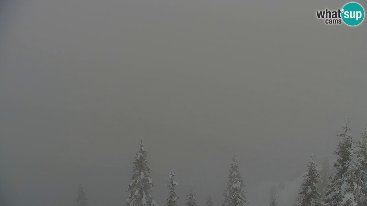 Web kamera Koča na Golici (1582 m) – Slovenija