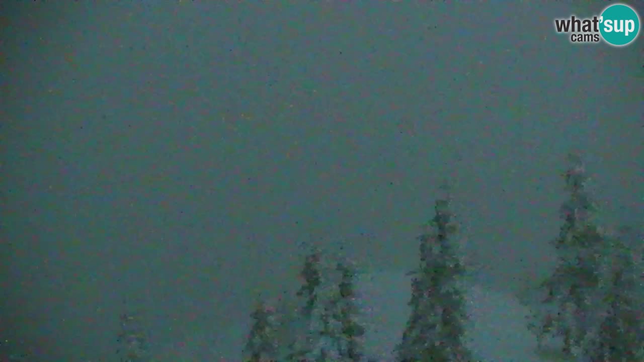 Spletna kamera Koča na Golici (1582 m) – Jesenice