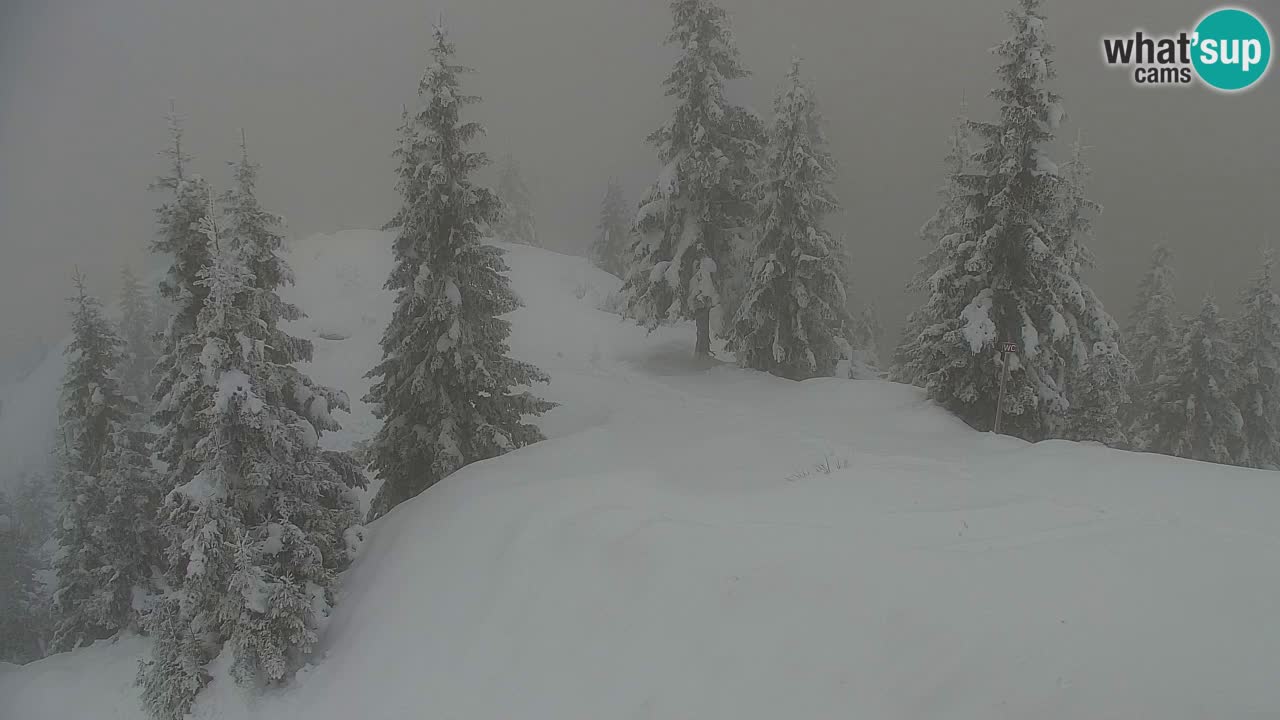 Koča na Golici Webcam (1582 m) – Slowenien