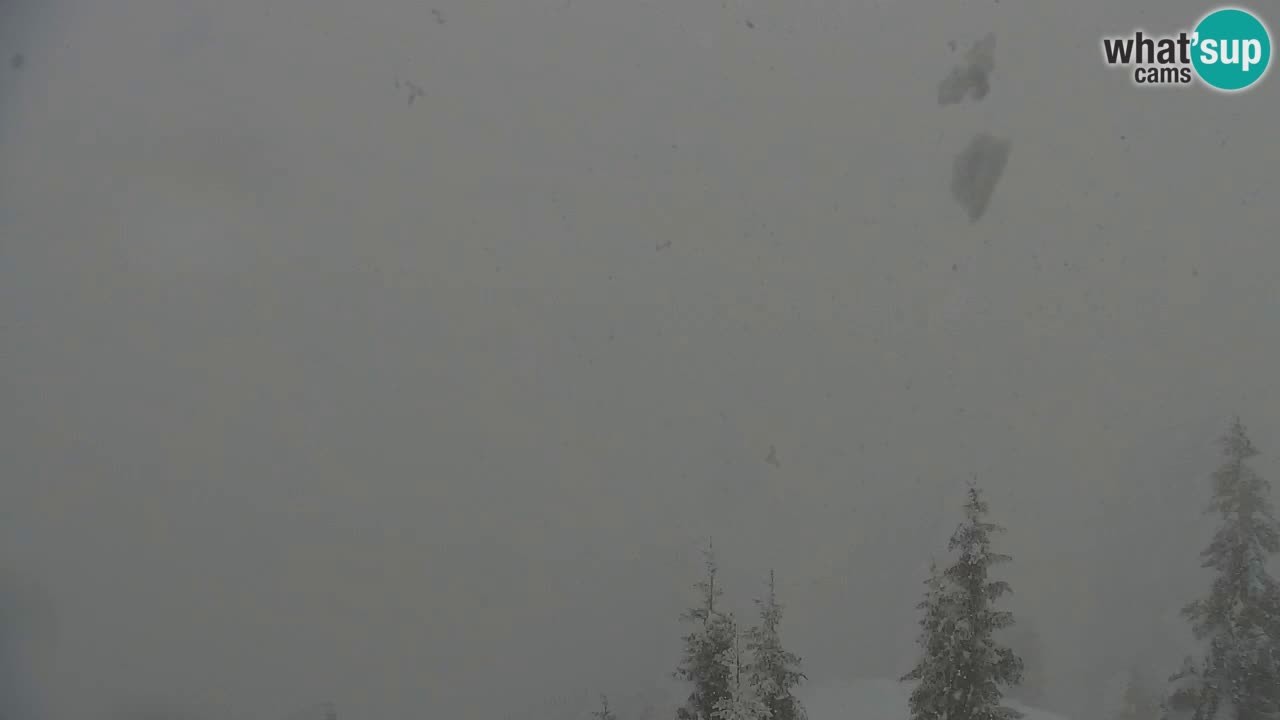 Koča na Golici Webcam (1582 m) – Slowenien