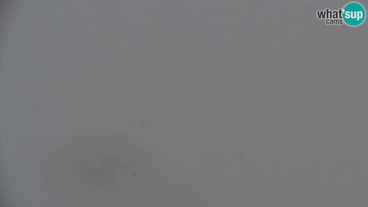 Webcam Koča na Golici (1582 m) – Slovenia