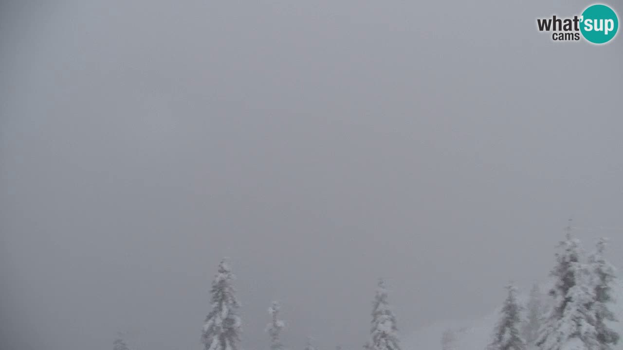 Spletna kamera Koča na Golici (1582 m) – Jesenice