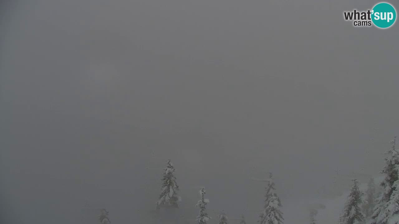 Spletna kamera Koča na Golici (1582 m) – Jesenice