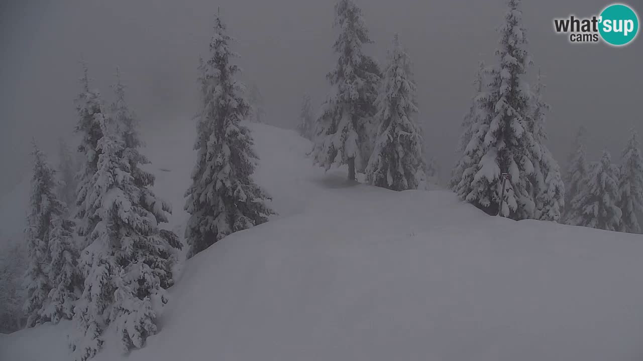 Webcam Koča na Golici (1582 m) – Slovenia