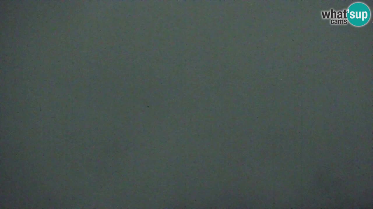 Webcam Koča na Golici (1582 m) – Slovenia