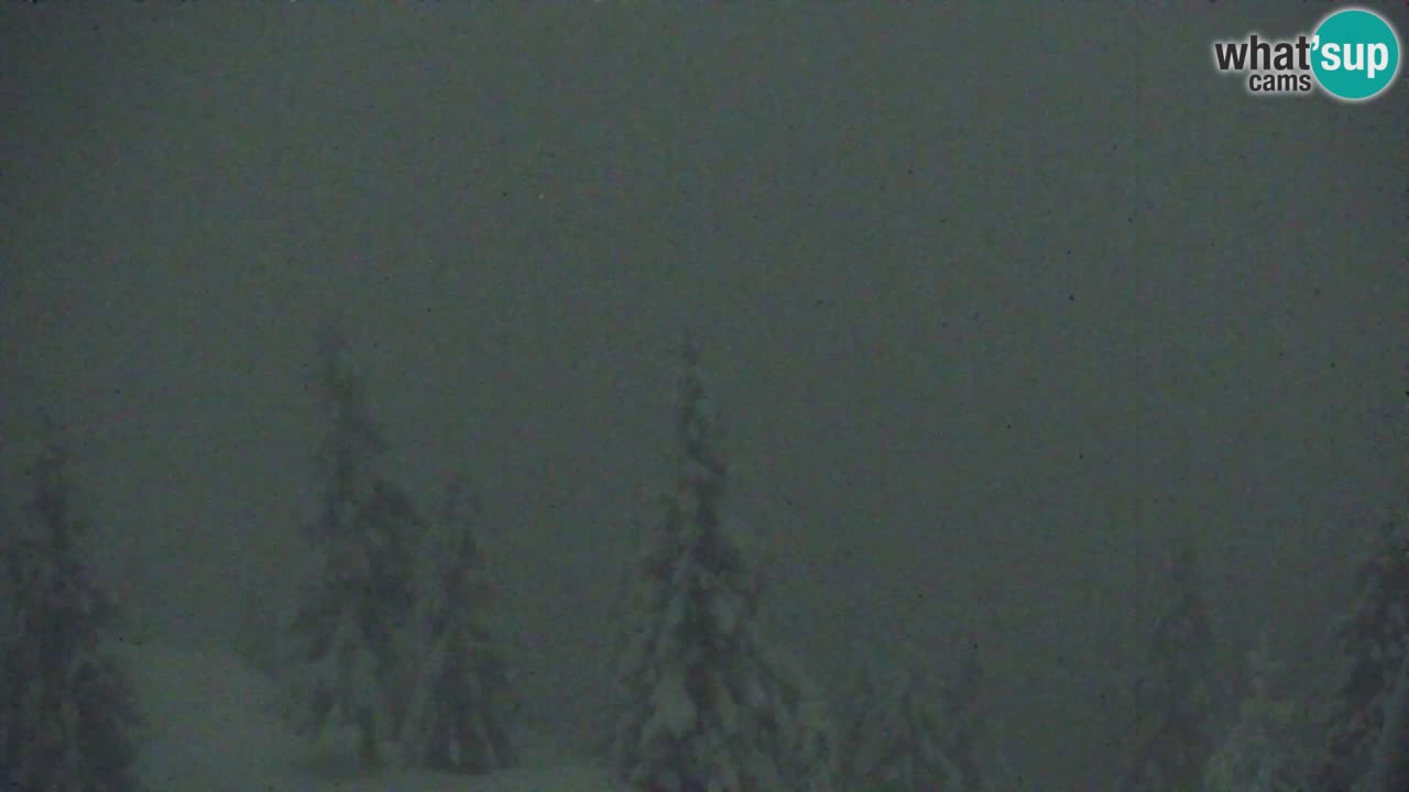 Web kamera Koča na Golici (1582 m) – Slovenija