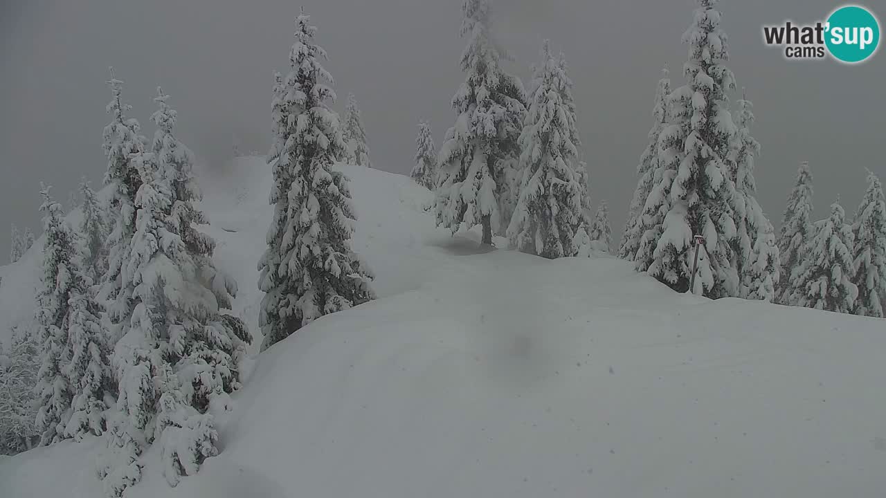 Webcam Koča na Golici (1582 m) – Slovenia