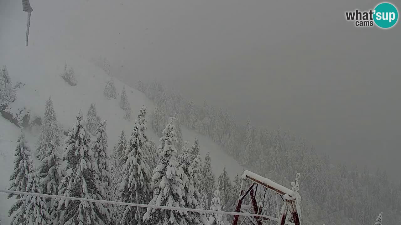 Webcam Chalet sur Golica (1582 m) – Slovénie