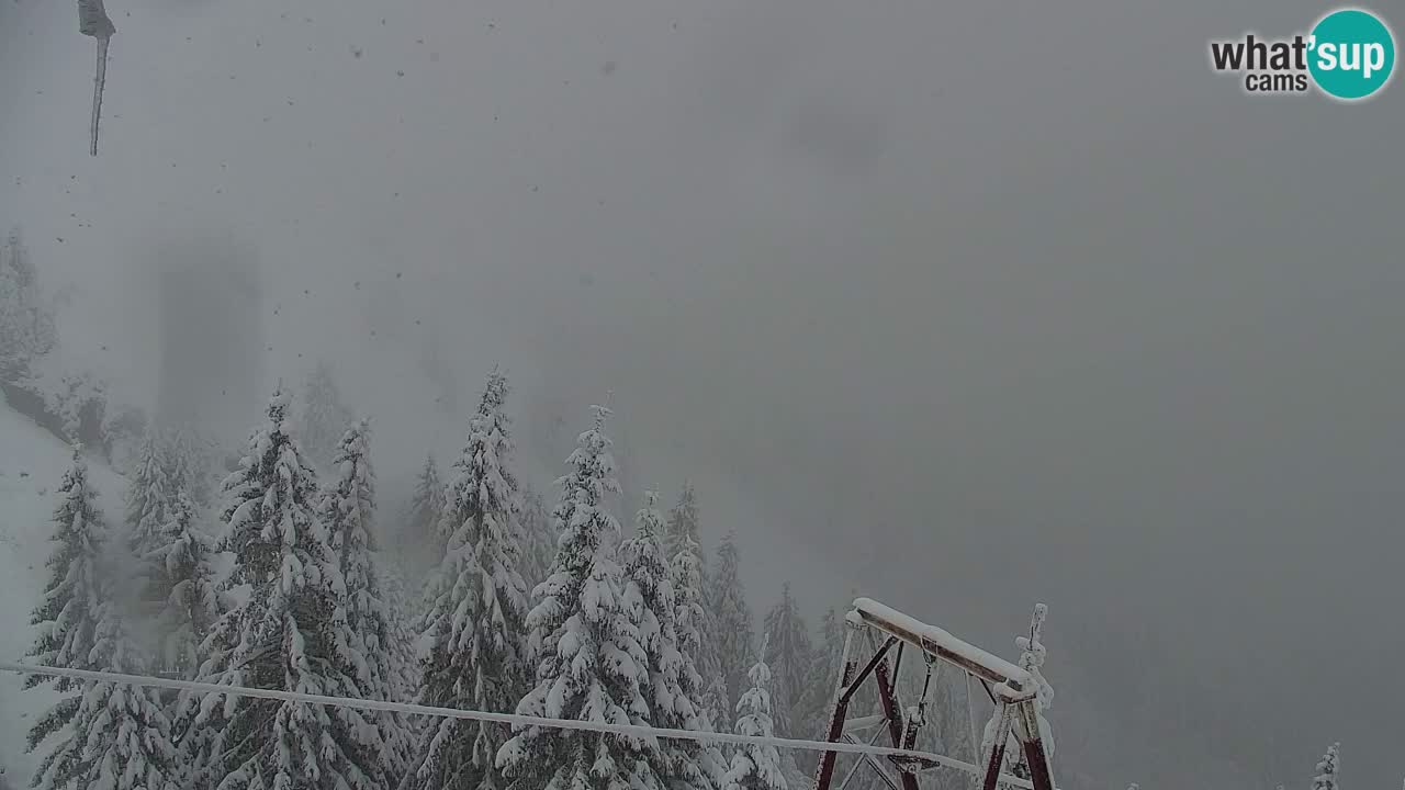 Koča na Golici Webcam (1582 m) – Slowenien