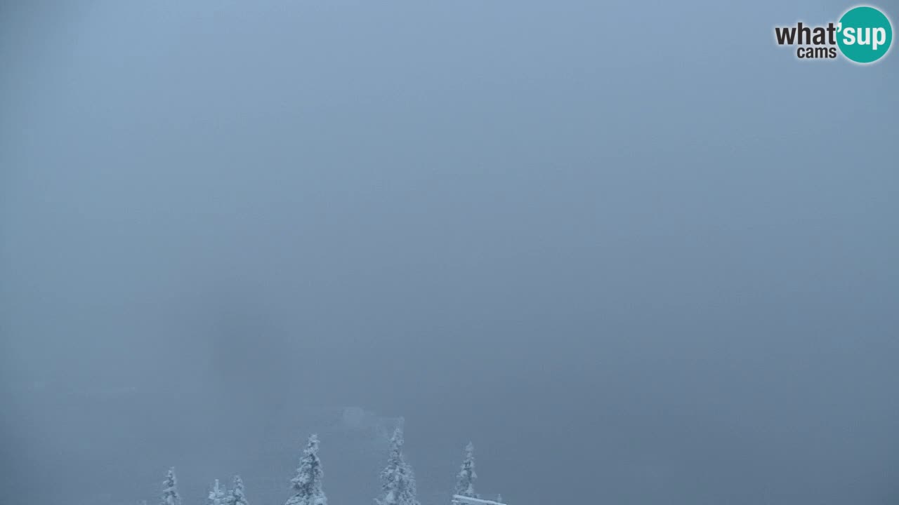 Webcam na Golici – Baita di montagna (1582 m) – Slovenia