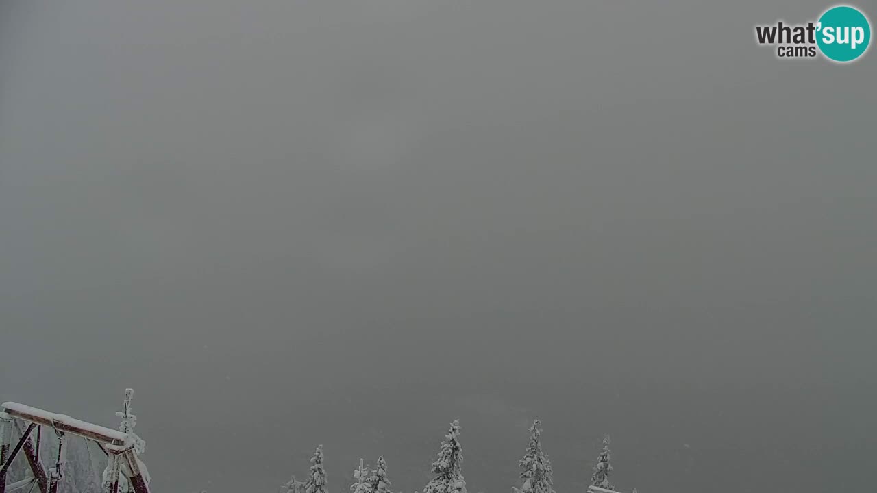 Webcam Koča na Golici (1582 m) – Slovenia