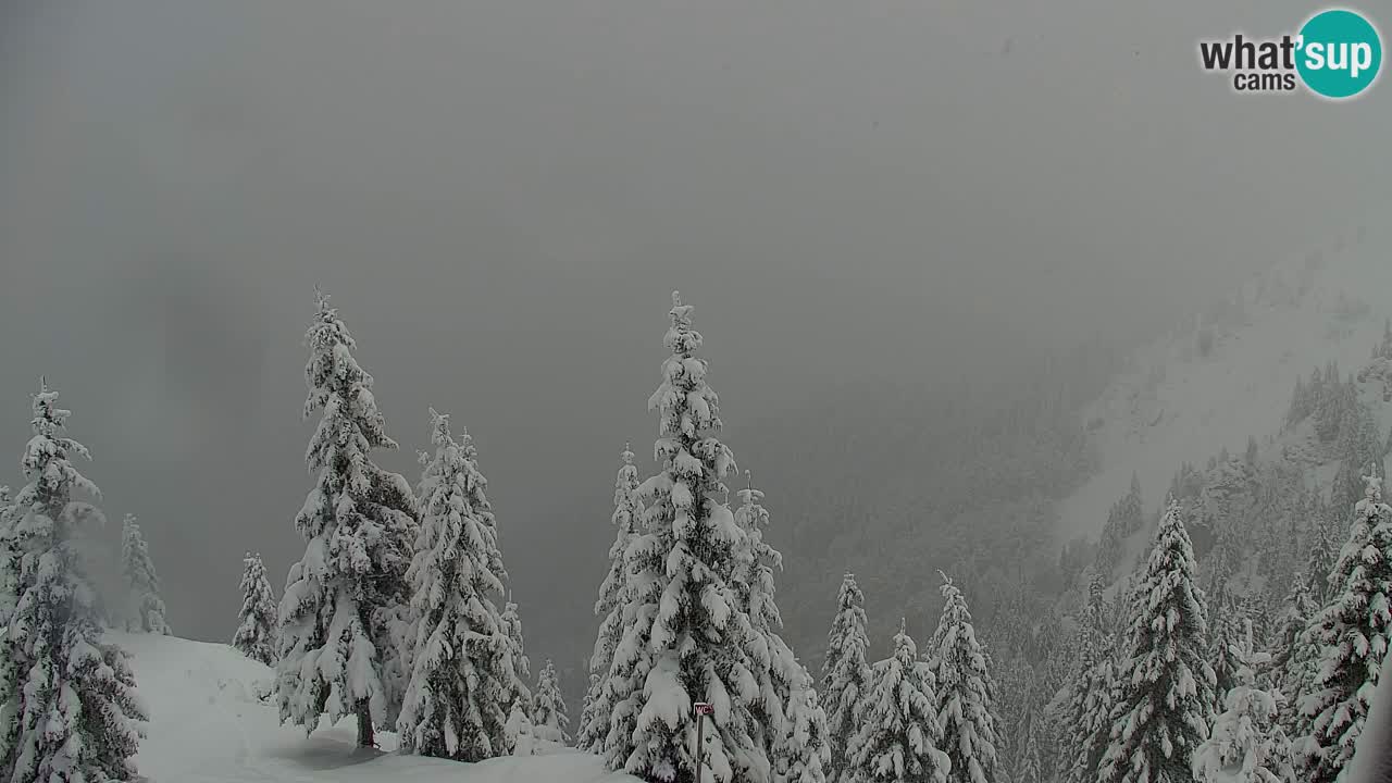 Koča na Golici Webcam (1582 m) – Slowenien