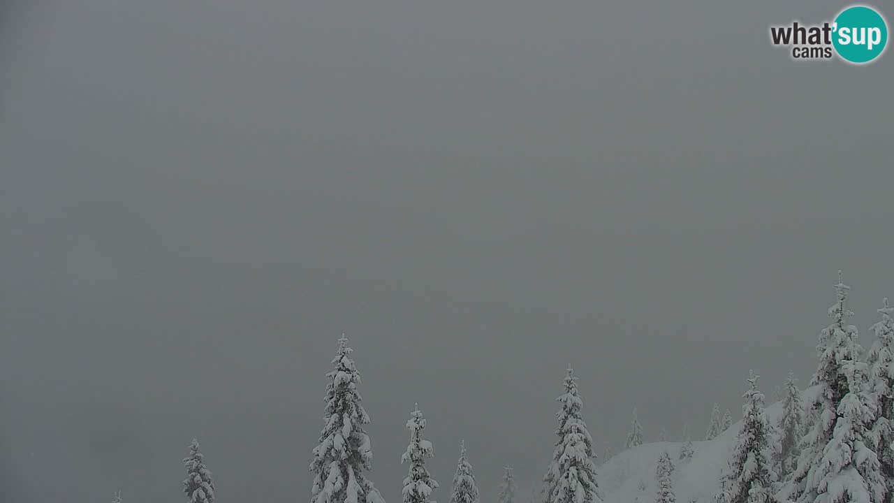 Webcam Koča na Golici (1582 m) – Slovenia