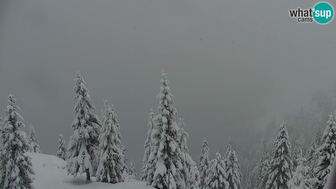 Spletna kamera Koča na Golici (1582 m) – Jesenice