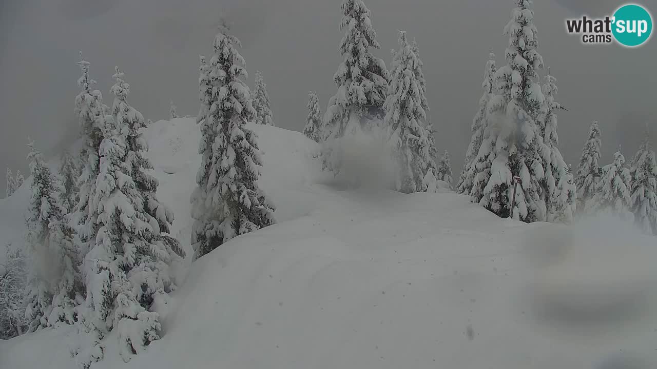Spletna kamera Koča na Golici (1582 m) – Jesenice