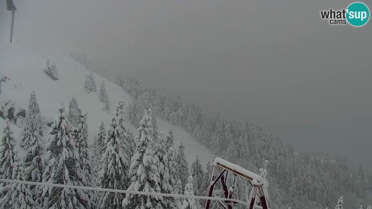 Spletna kamera Koča na Golici (1582 m) – Jesenice