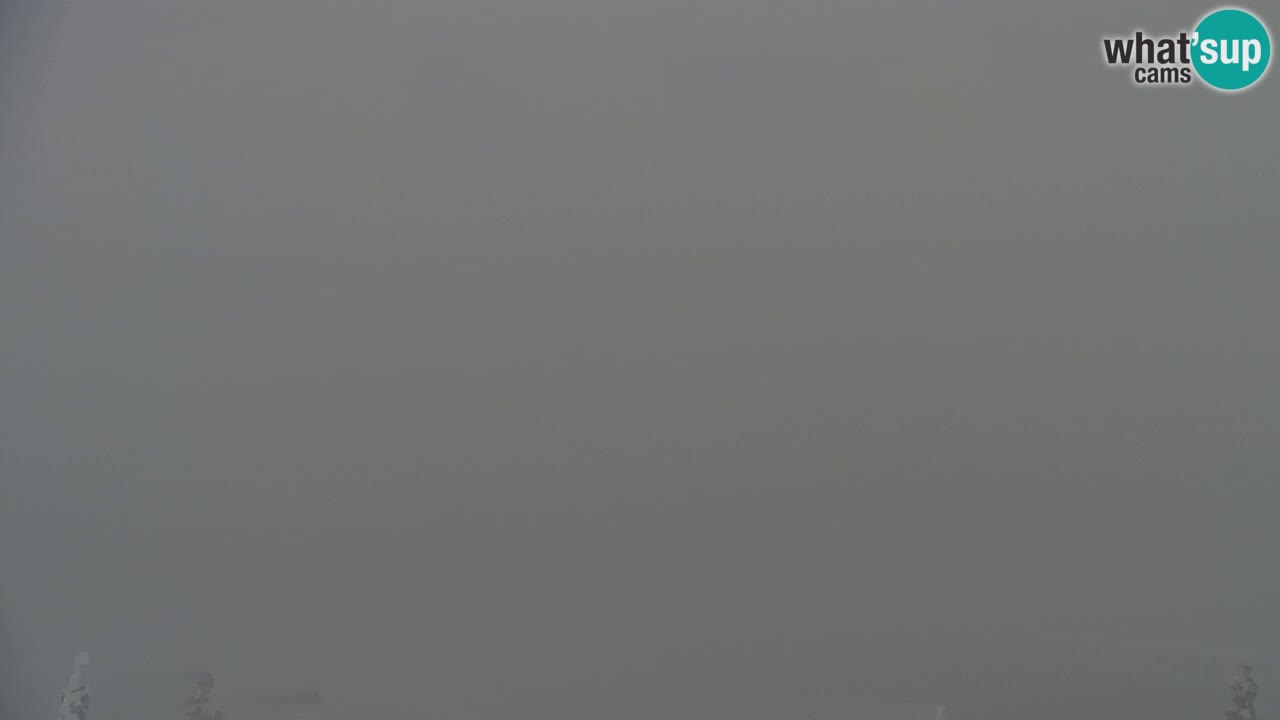 Web kamera Koča na Golici (1582 m) – Slovenija