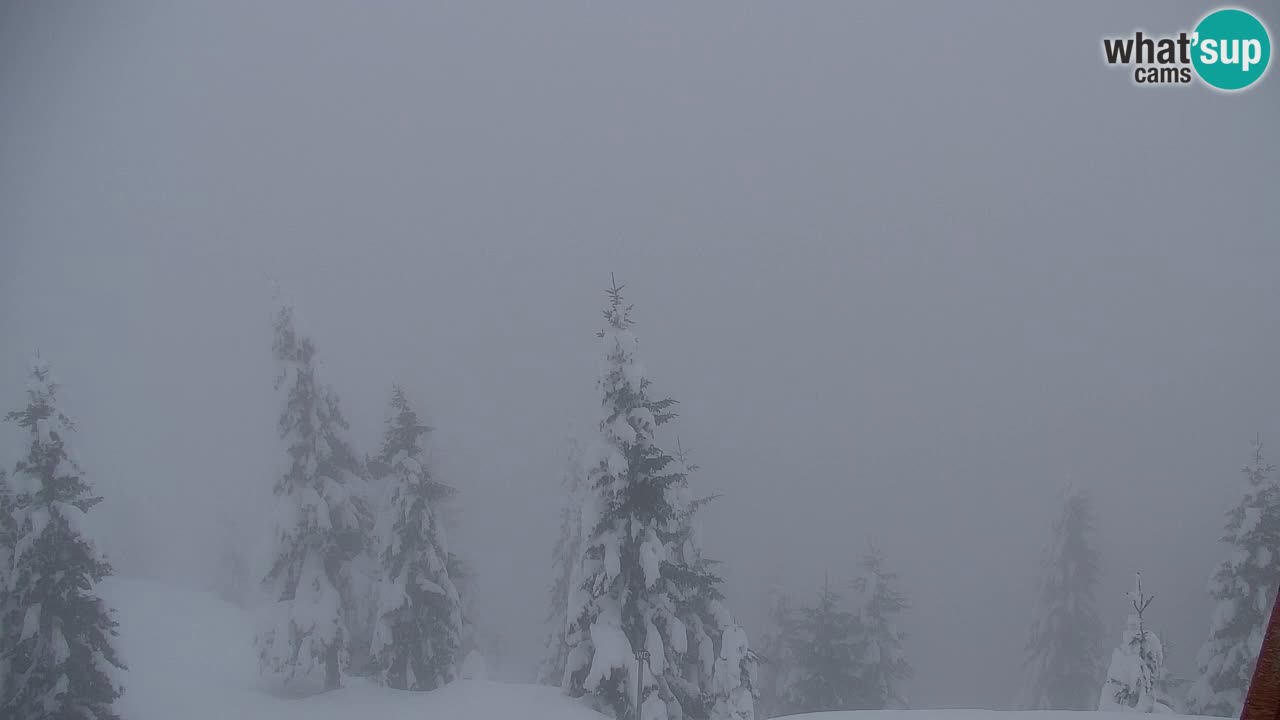 Webcam Koča na Golici (1582 m) – Slovenia