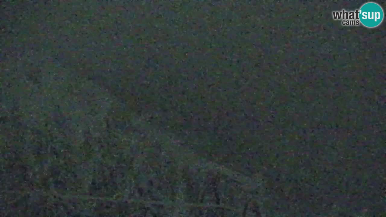 Webcam Koča na Golici (1582 m) – Slovenia