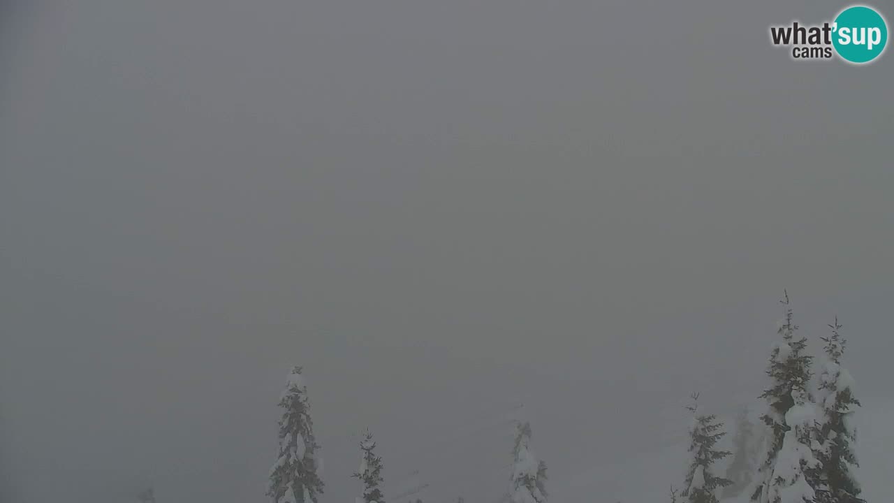 Webcam Koča na Golici (1582 m) – Slovenia