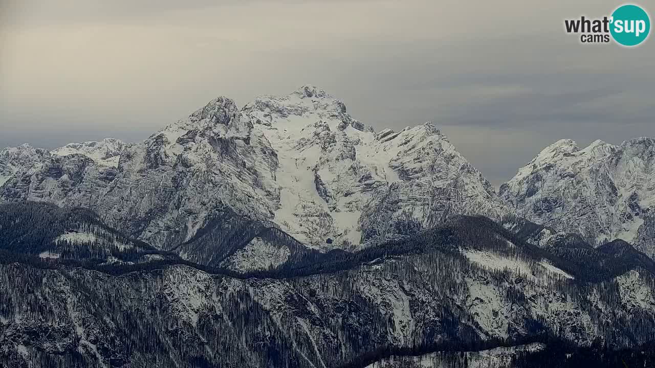 Webcam na Golici – Baita di montagna (1582 m) – Slovenia