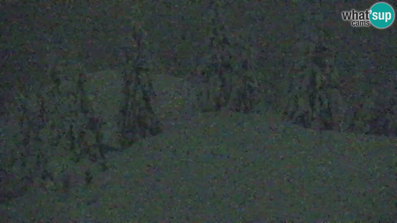 Koča na Golici Webcam (1582 m) – Slowenien