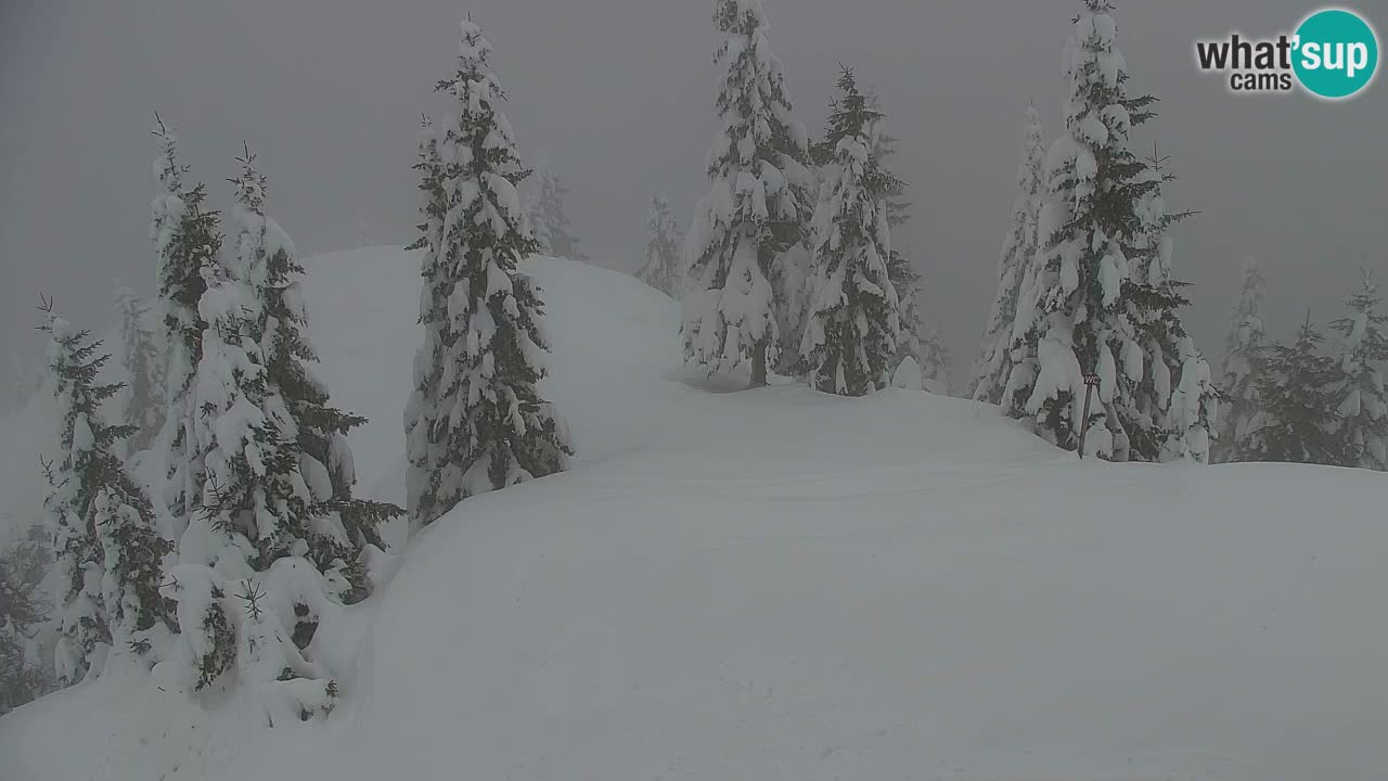Koča na Golici Webcam (1582 m) – Slowenien