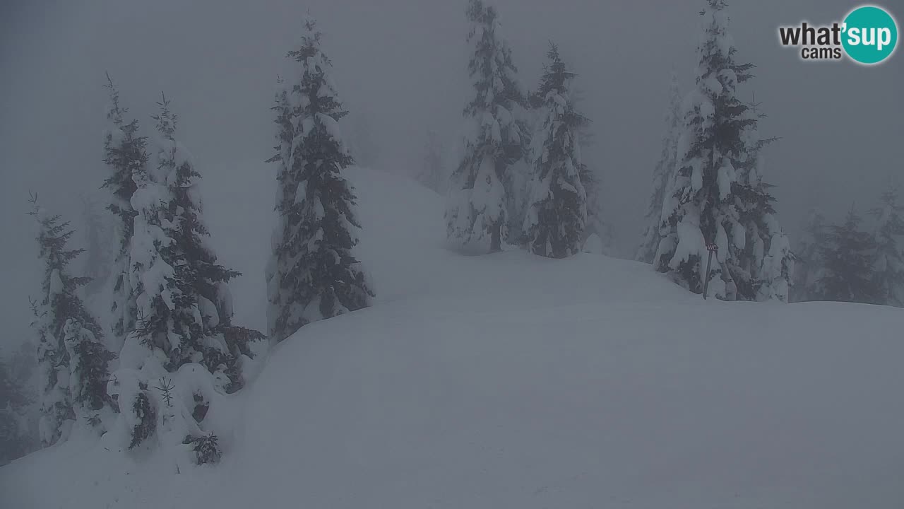 Webcam Koča na Golici (1582 m) – Slovenia