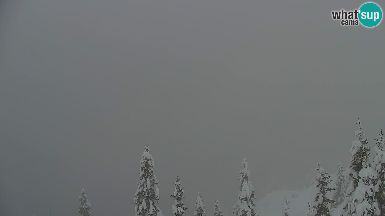 Webcam na Golici – Baita di montagna (1582 m) – Slovenia