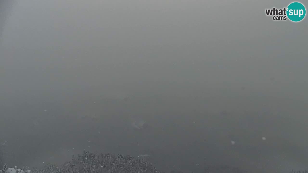 Spletna kamera Koča na Golici (1582 m) – Jesenice