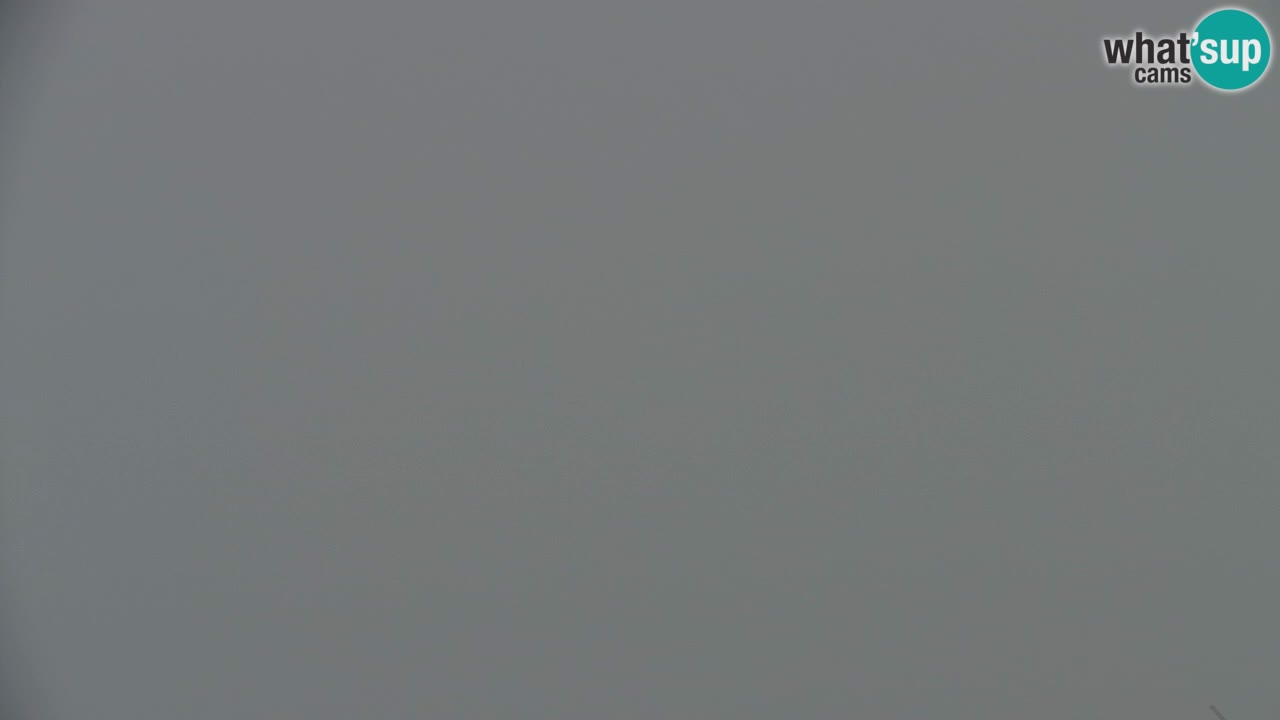 Webcam Koča na Golici (1582 m) – Slovenia