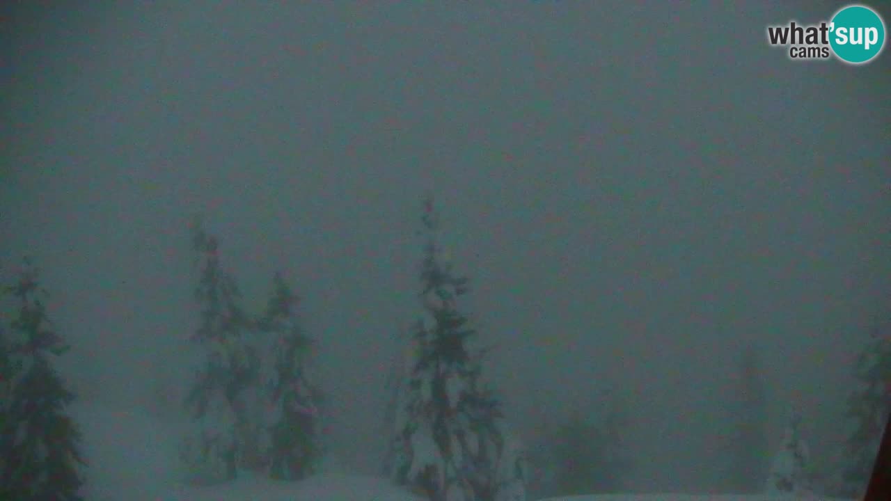 Webcam na Golici – Baita di montagna (1582 m) – Slovenia