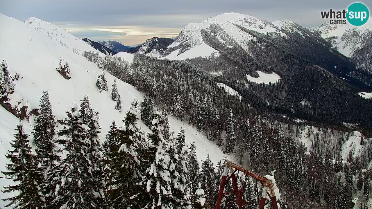 Webcam na Golici – Baita di montagna (1582 m) – Slovenia