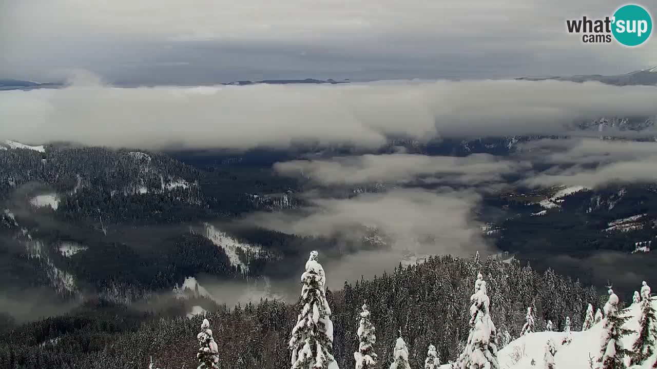 Webcam en Golica (1582 m) – Eslovenia