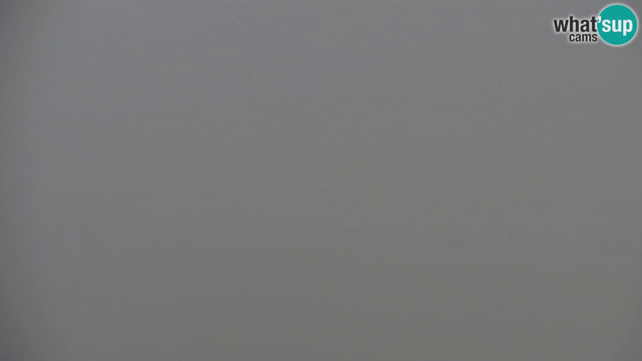 Web kamera Koča na Golici (1582 m) – Slovenija