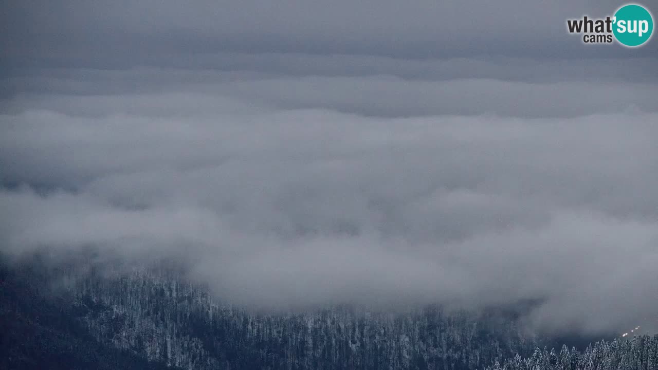 Koča na Golici Webcam (1582 m) – Slowenien