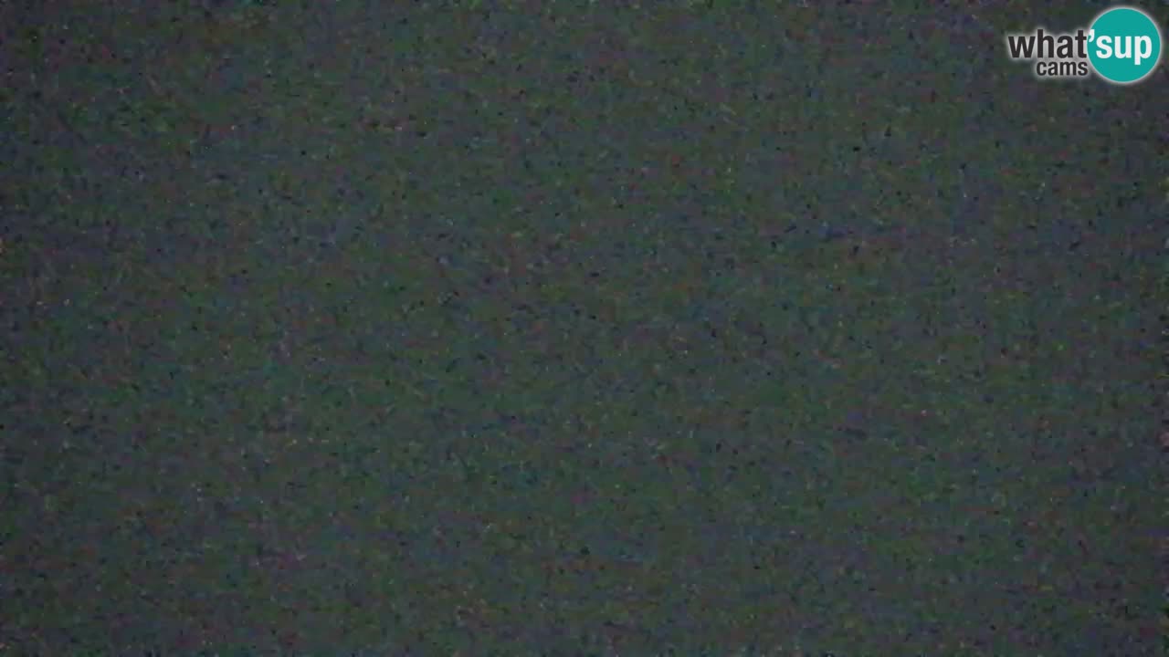 Webcam Koča na Golici (1582 m) – Slovenia