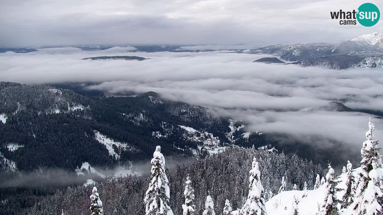 Koča na Golici Webcam (1582 m) – Slowenien