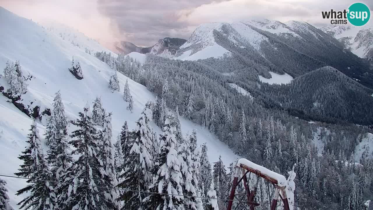 Koča na Golici Webcam (1582 m) – Slowenien