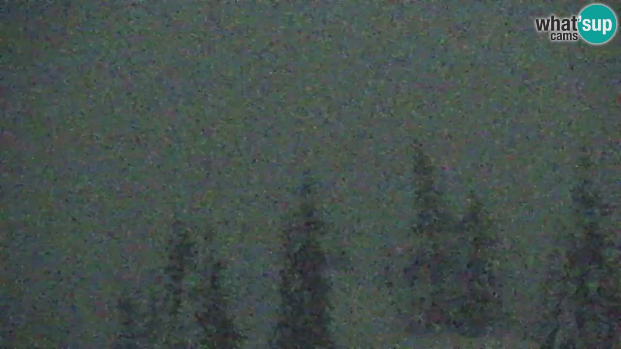 Webcam Koča na Golici (1582 m) – Slovenia