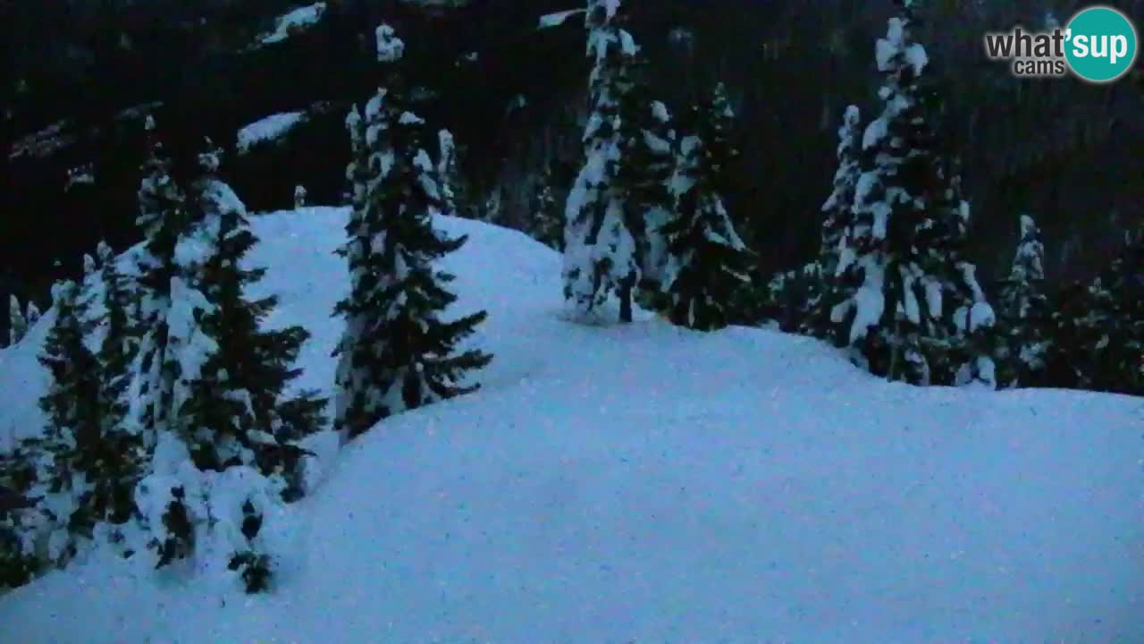 Spletna kamera Koča na Golici (1582 m) – Jesenice