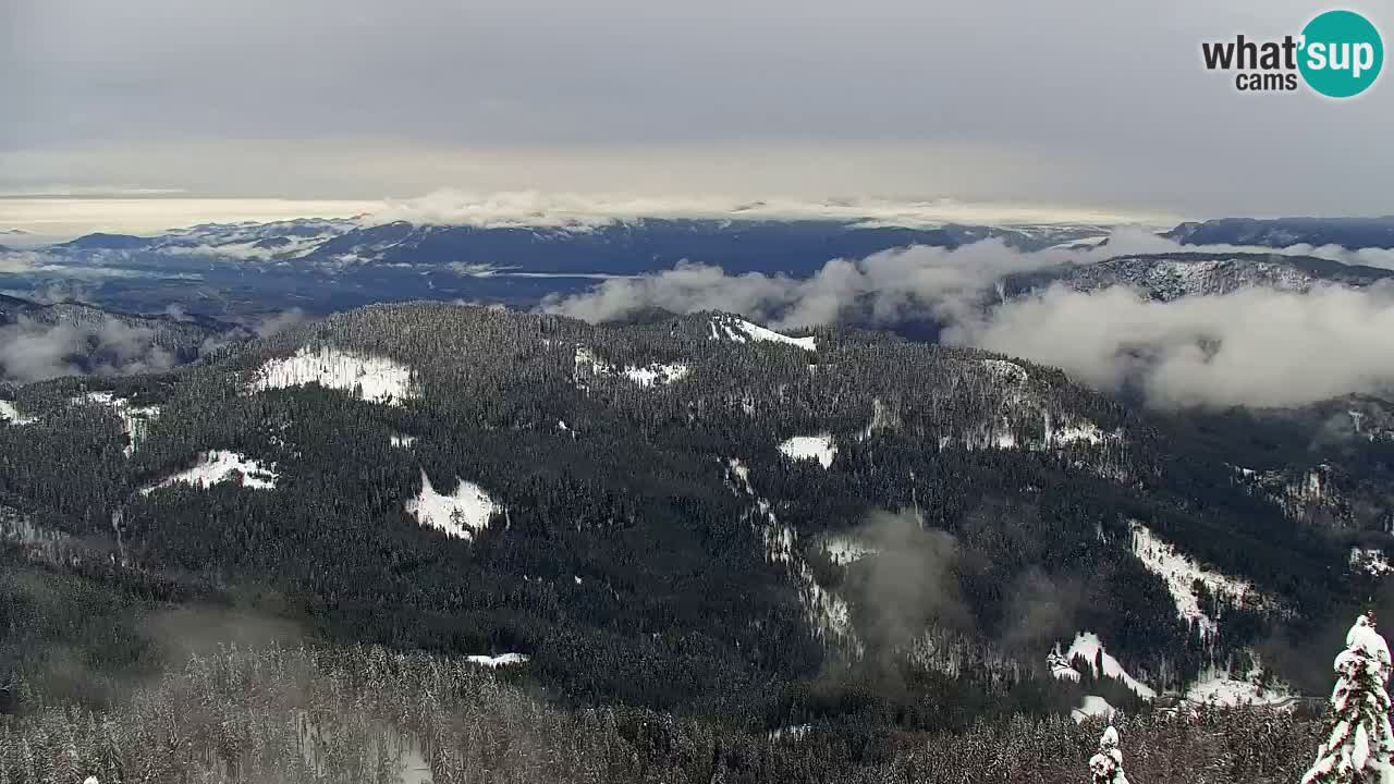Koča na Golici Webcam (1582 m) – Slowenien