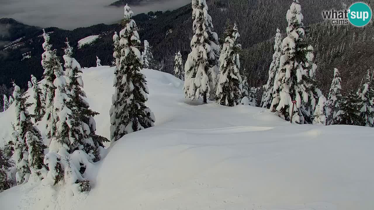 Web kamera Koča na Golici (1582 m) – Slovenija