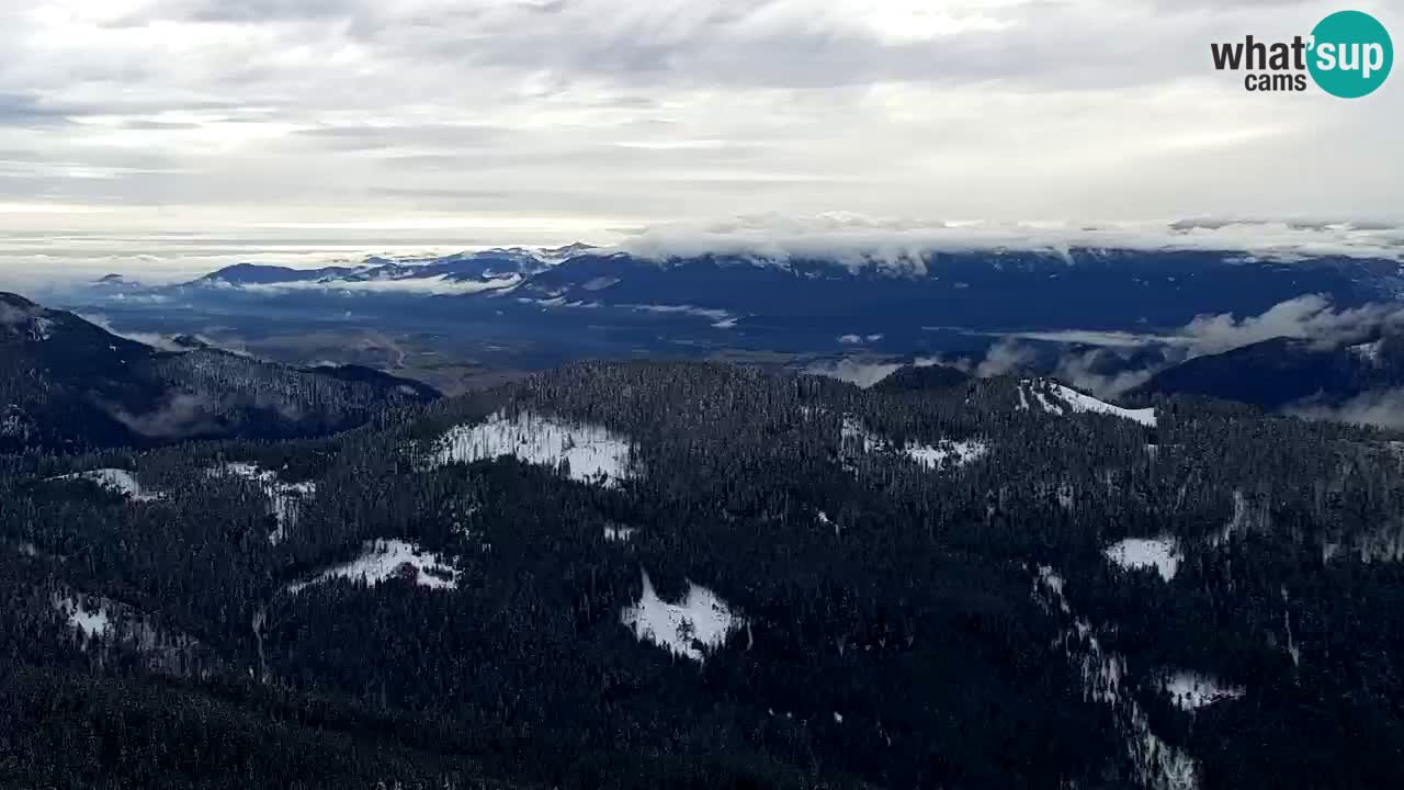 Web kamera Koča na Golici (1582 m) – Slovenija