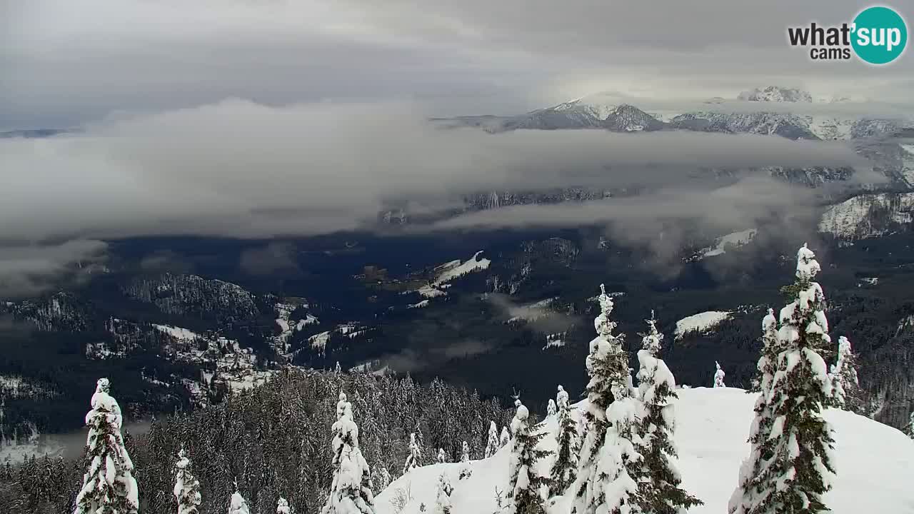 Webcam na Golici – Baita di montagna (1582 m) – Slovenia