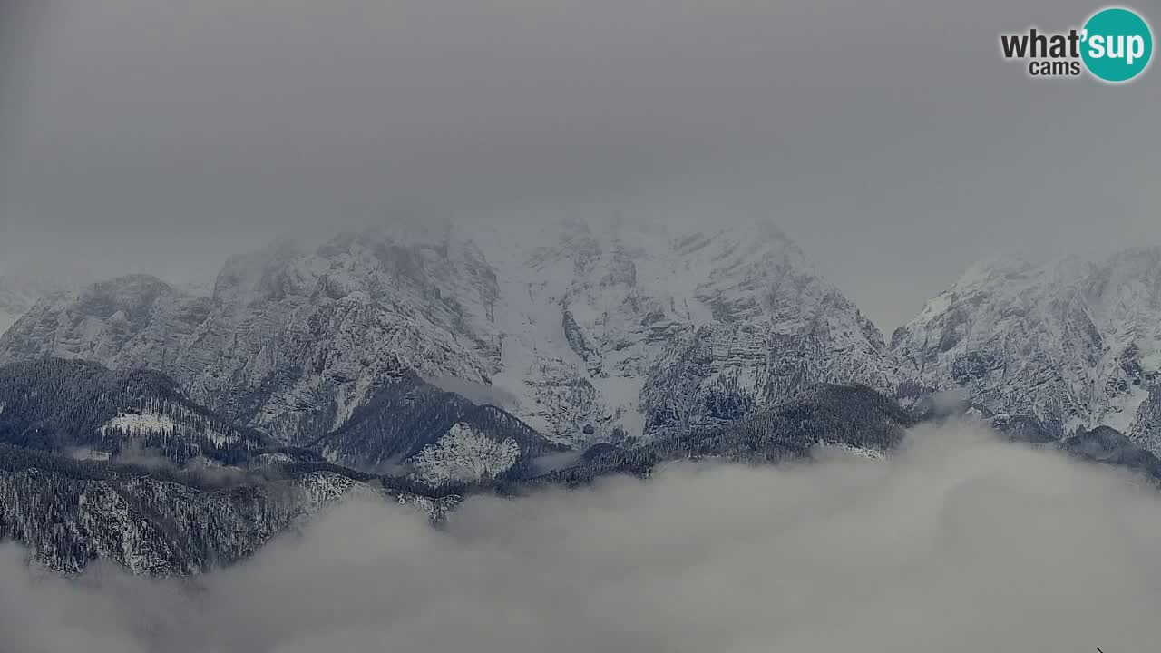 Webcam Koča na Golici (1582 m) – Slovenia