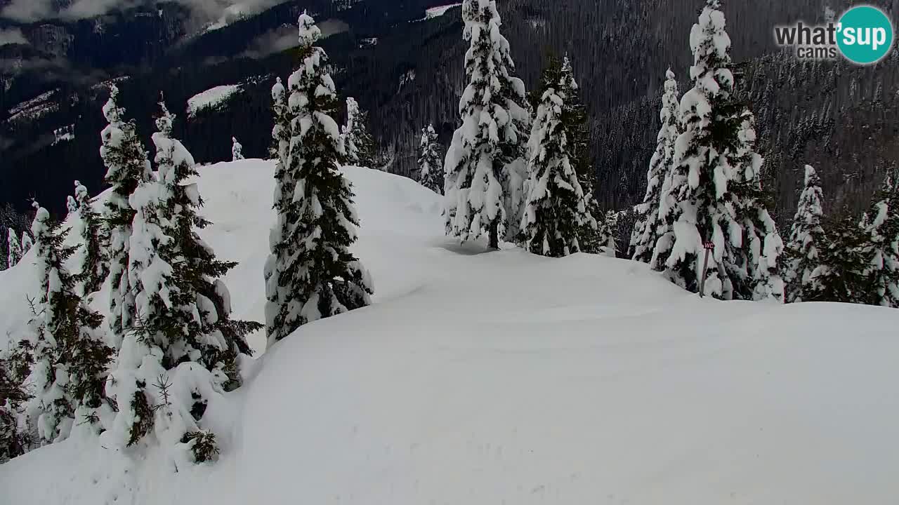 Webcam en Golica (1582 m) – Eslovenia