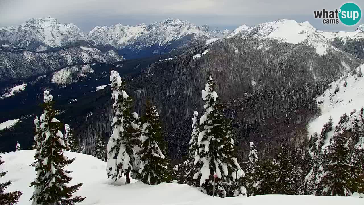 Webcam na Golici – Baita di montagna (1582 m) – Slovenia